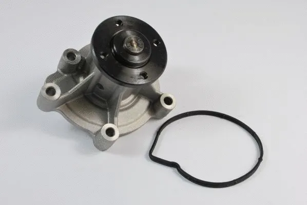 Water Pump, engine cooling (D1M023TT)