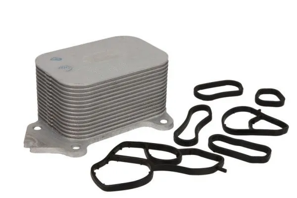 Oil Cooler, engine oil (D4C003TT)