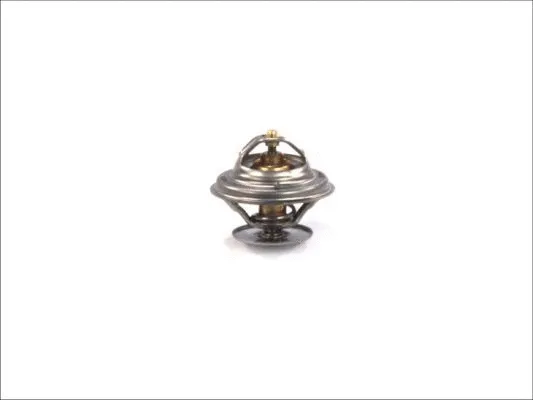 Thermostat, coolant (D2MA002TT)