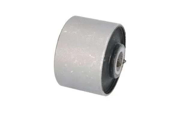 Mounting, control/trailing arm (J42051AYMT)