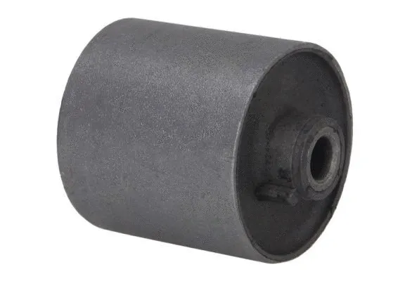 Mounting, control/trailing arm (J43036AYMT)