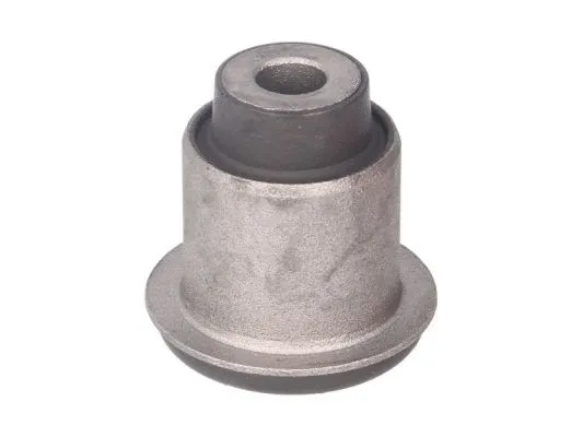Mounting, control/trailing arm (J44034AYMT)