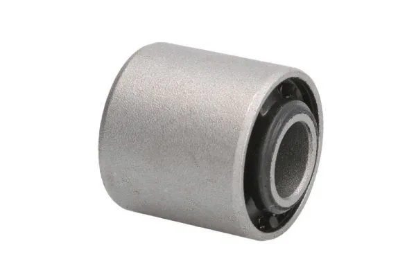 Mounting, control/trailing arm (J55020AYMT)