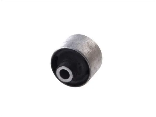 Mounting, control/trailing arm (J43037BYMT)