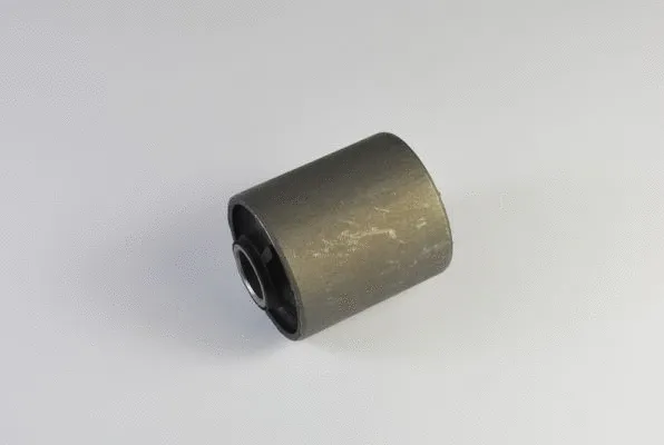 Mounting, control/trailing arm (J43010EYMT)