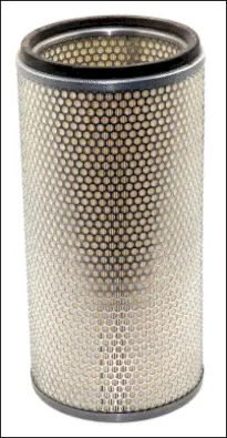 Secondary Air Filter