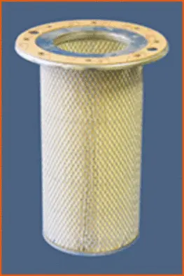Secondary Air Filter