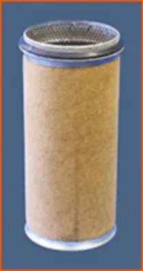 Secondary Air Filter