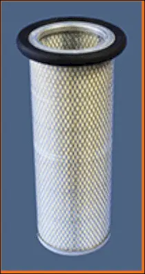 Secondary Air Filter
