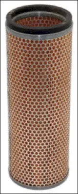 Secondary Air Filter