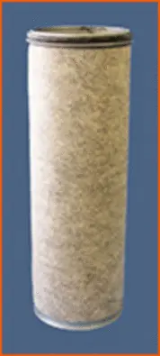 Secondary Air Filter