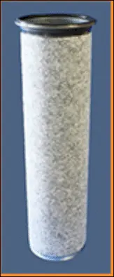 Secondary Air Filter