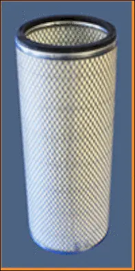 Secondary Air Filter