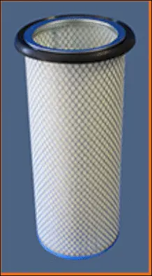 Secondary Air Filter