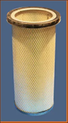 Secondary Air Filter