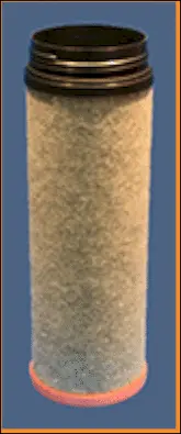 Secondary Air Filter
