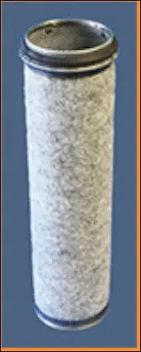 Secondary Air Filter