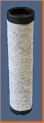 Secondary Air Filter