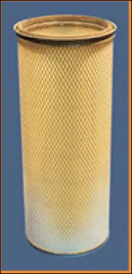 Secondary Air Filter