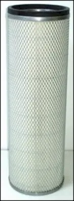 Secondary Air Filter