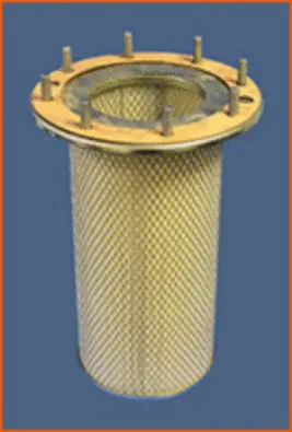 Secondary Air Filter