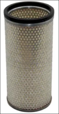 Secondary Air Filter