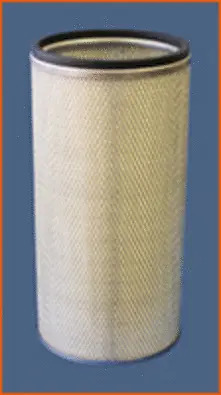 Secondary Air Filter