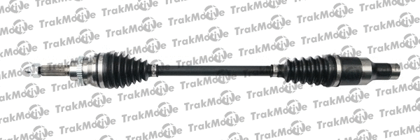 Drive Shaft (30-1229)
