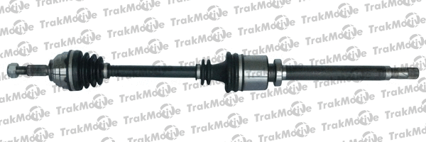 Drive Shaft (30-0782)