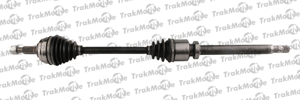 Drive Shaft (30-0891)