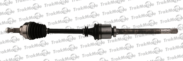 Drive Shaft (30-0761)