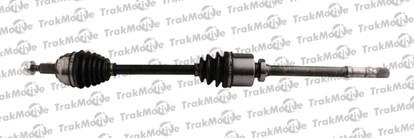 Drive Shaft (30-0841)