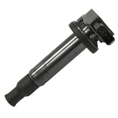Ignition Coil (133844)