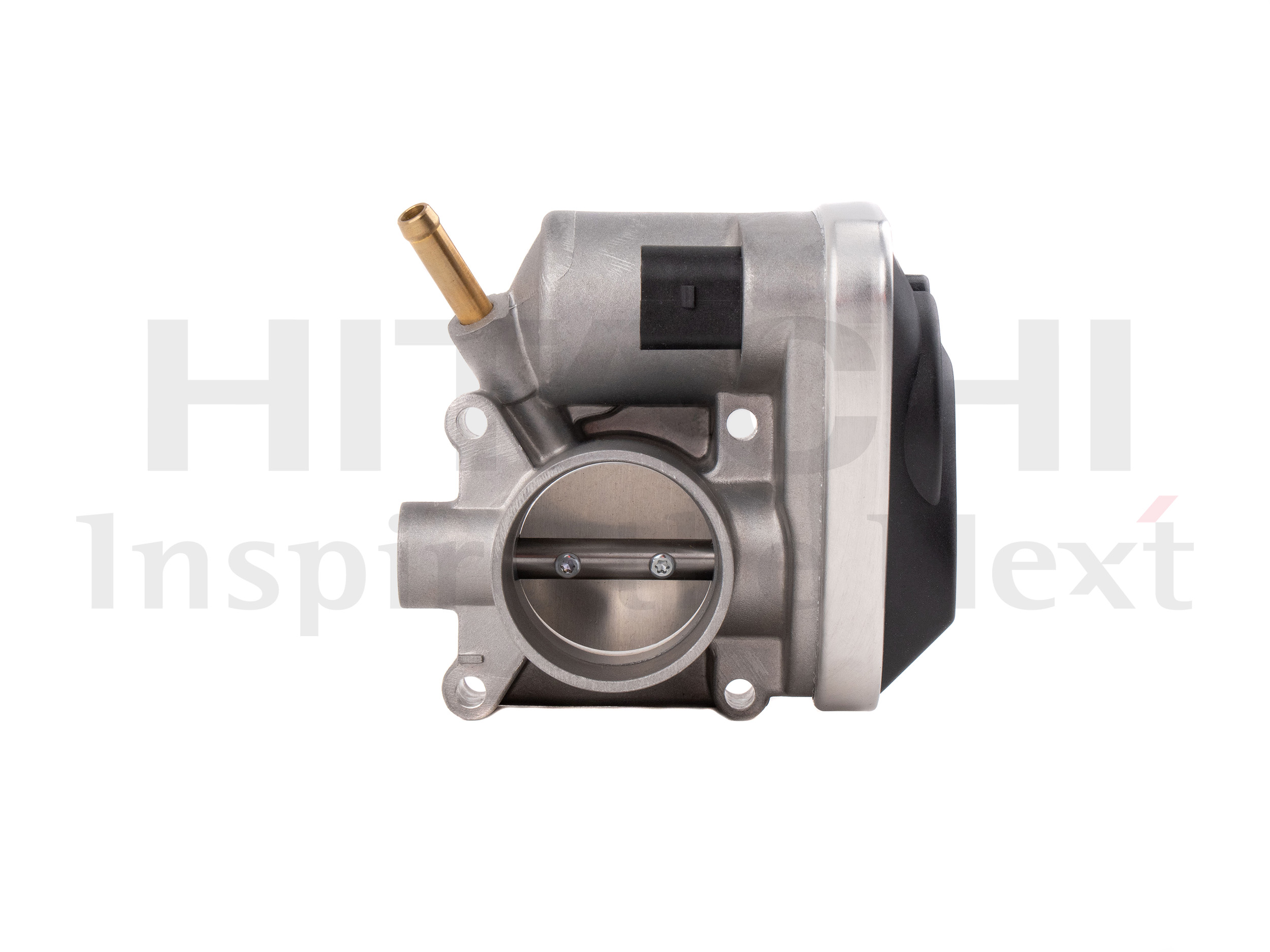 Throttle Body (2508516)