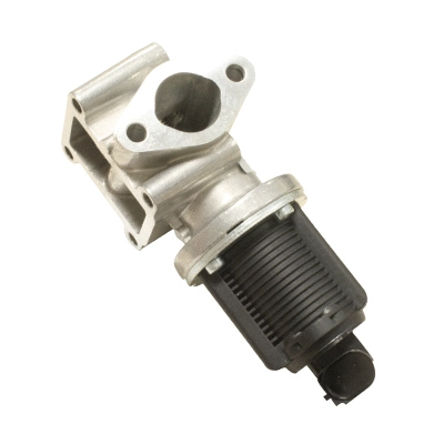 EGR Valve (138480)