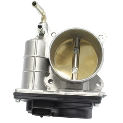 Throttle Body (138540)