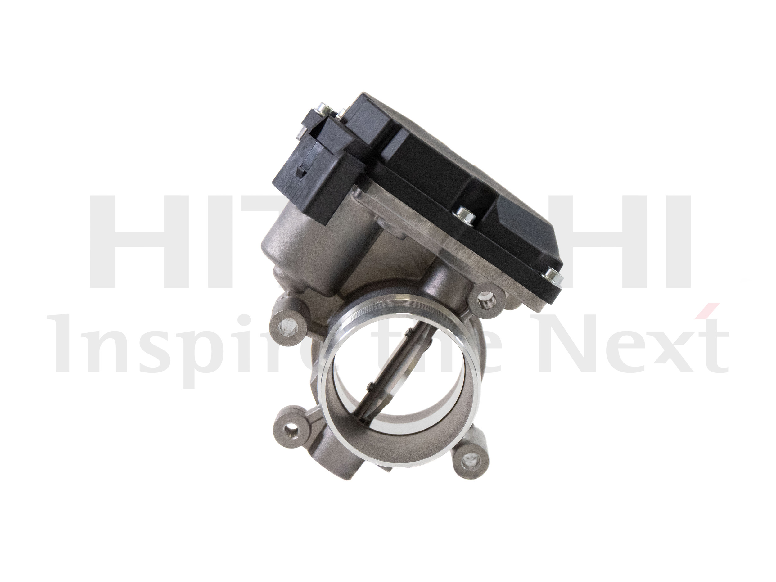 Throttle Body (2508509)