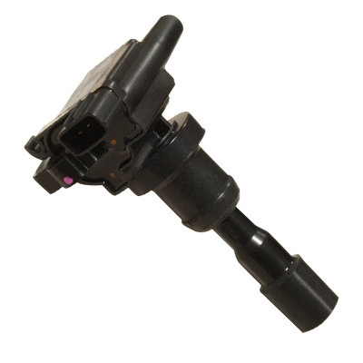 Ignition Coil (134004)