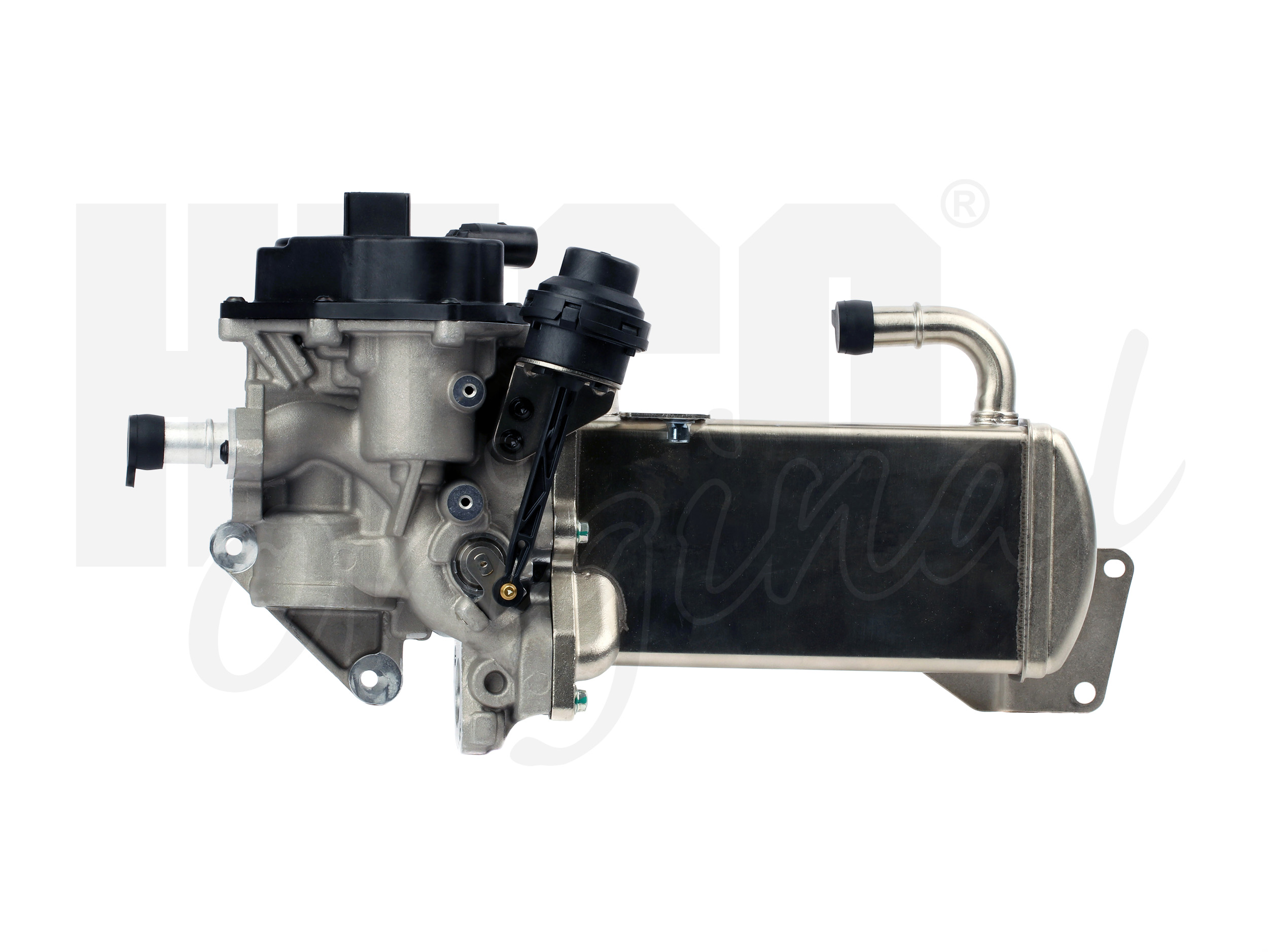 EGR Valve