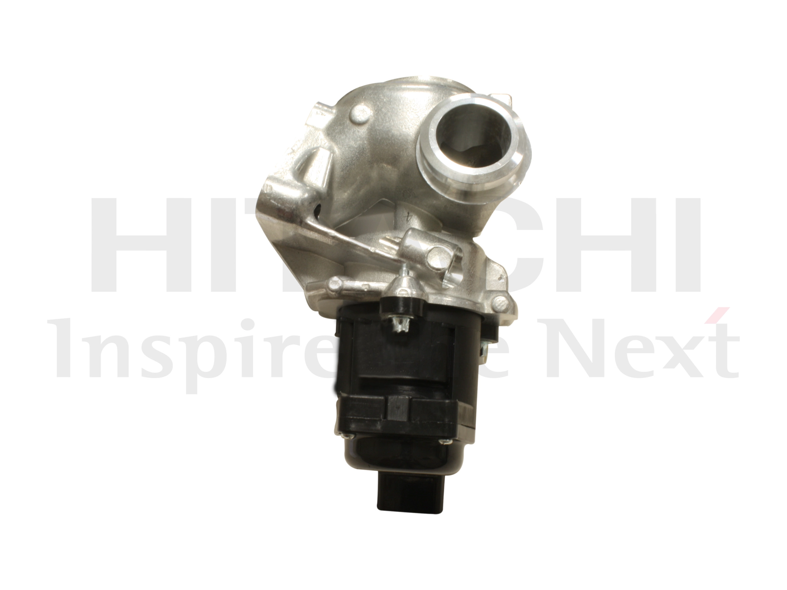 EGR Valve (2508481)
