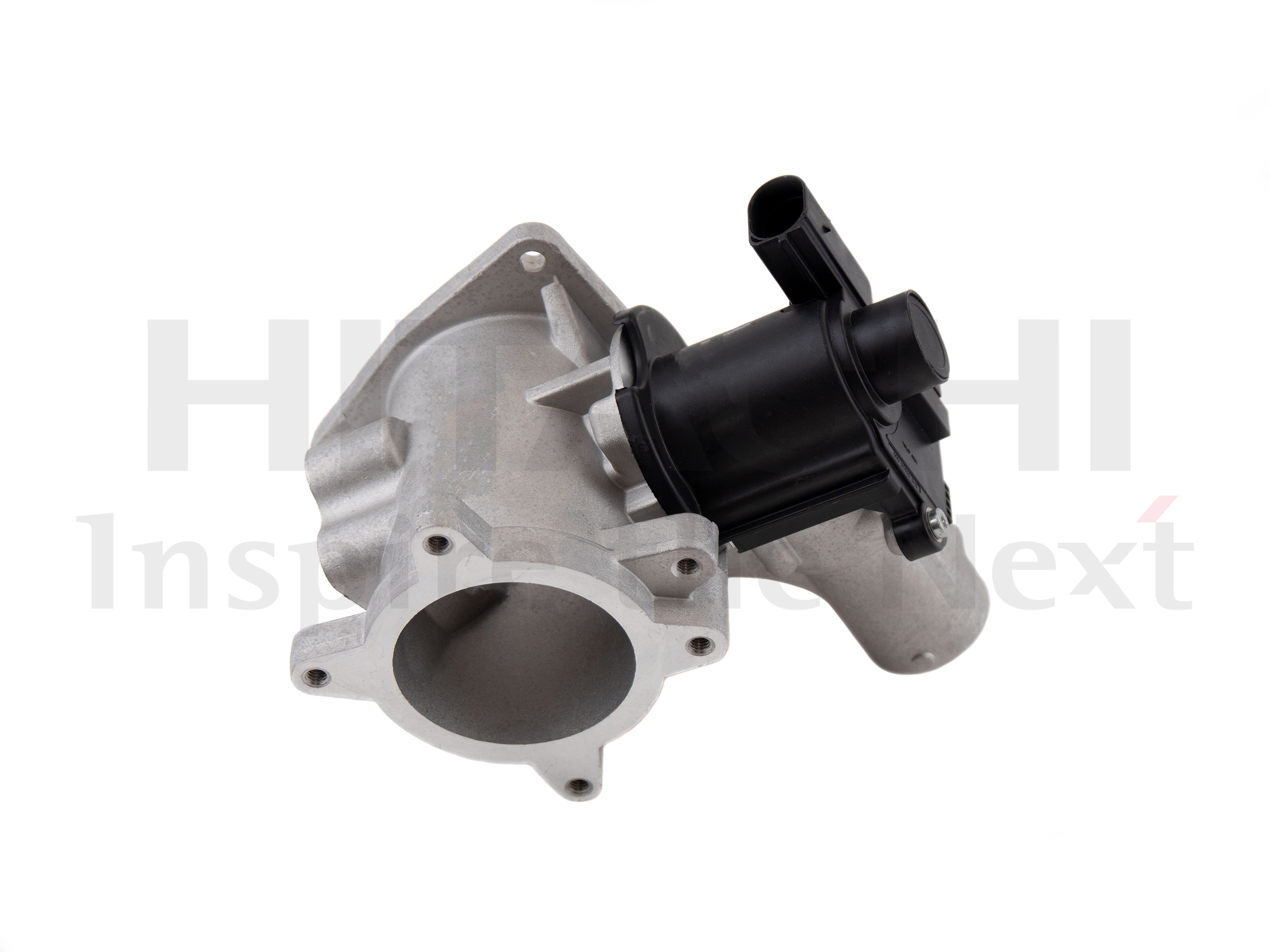 EGR Valve (2505958)