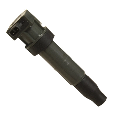 Ignition Coil (134006)