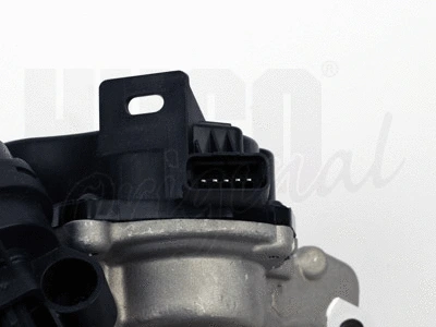 EGR Valve