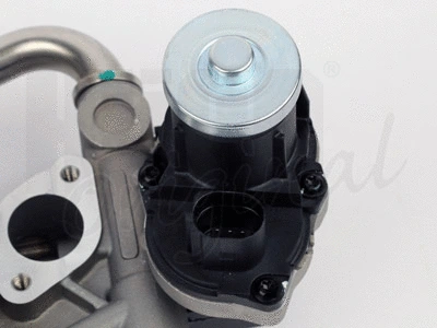 EGR Valve (138466)