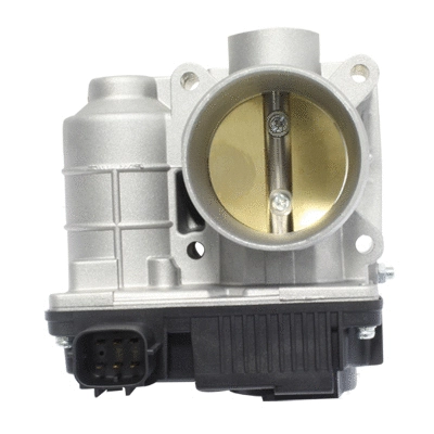 Throttle Body (138536)