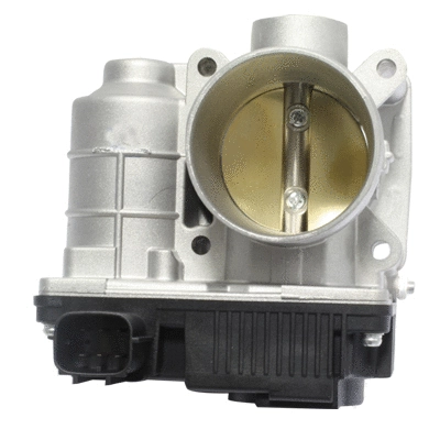Throttle Body (138535)