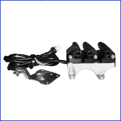 Ignition Coil (138441)