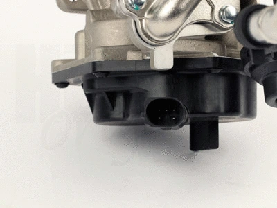 EGR Valve (138462)