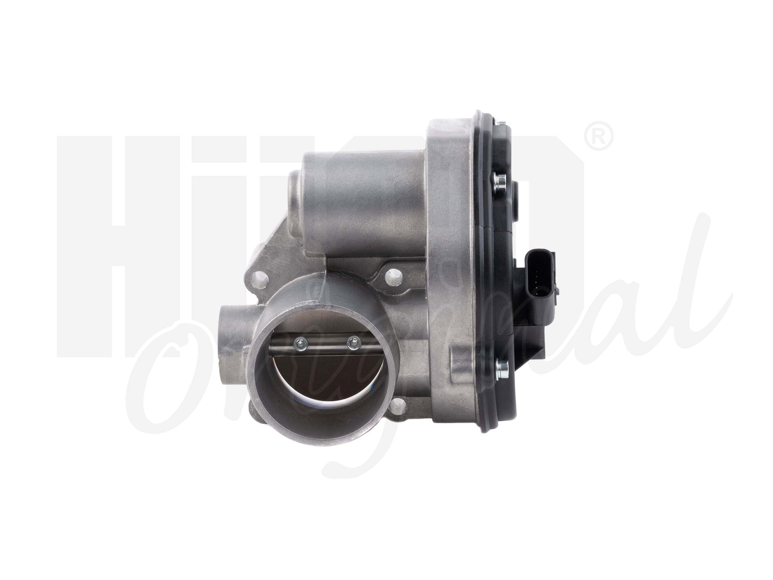 Throttle Body (138519)