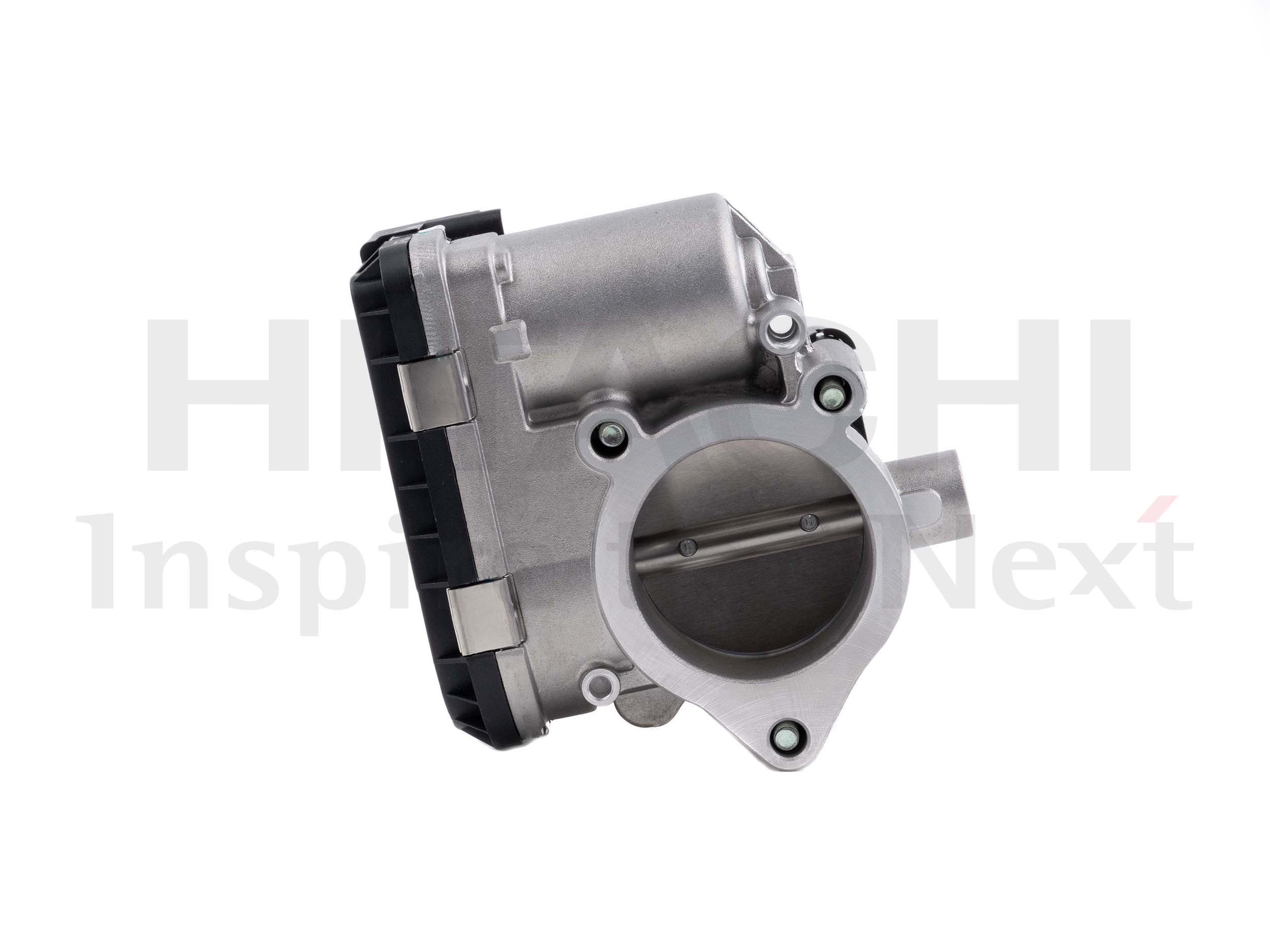 Throttle Body (2508521)